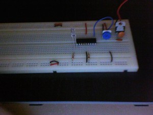 photo-31
